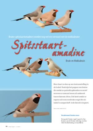 Vogels – Nederlandse Bond voor